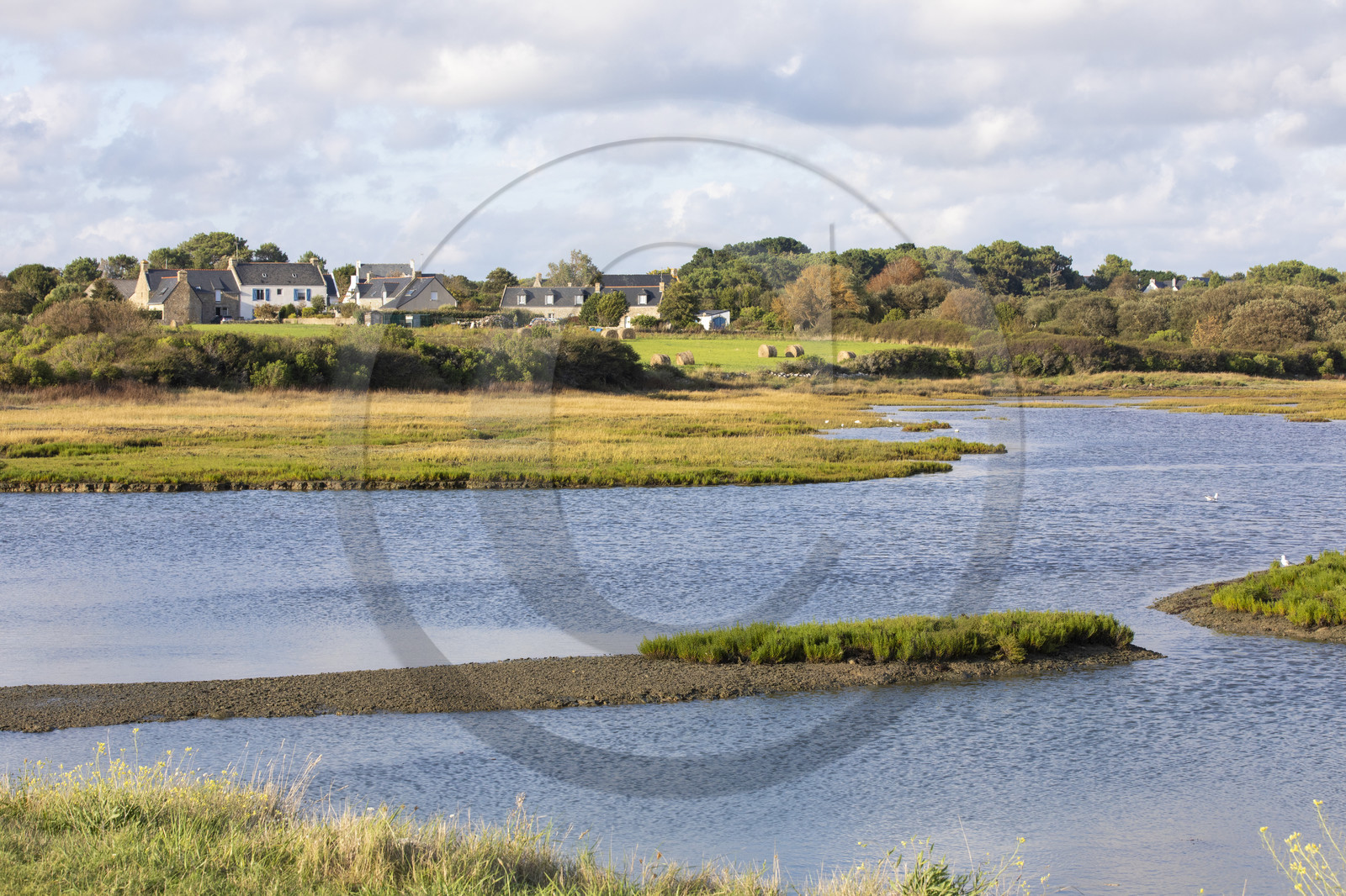 Etang du Moulin du Lac à Carnac