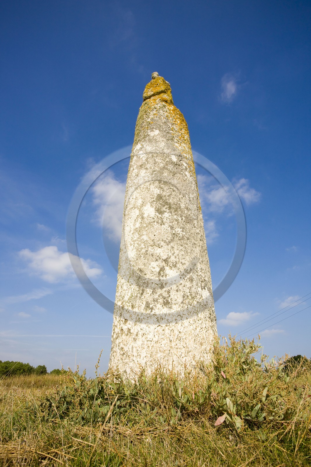 Quenouille Ste Brigitte. Locoal Mendon_Morbihan Quenouille Ste Brigitte. Locoal Mendon_Morbihan
