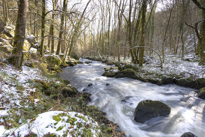 The forest of Huelgoat