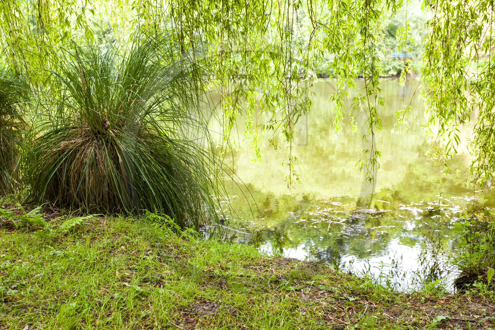 Kergoff pond in Caudan