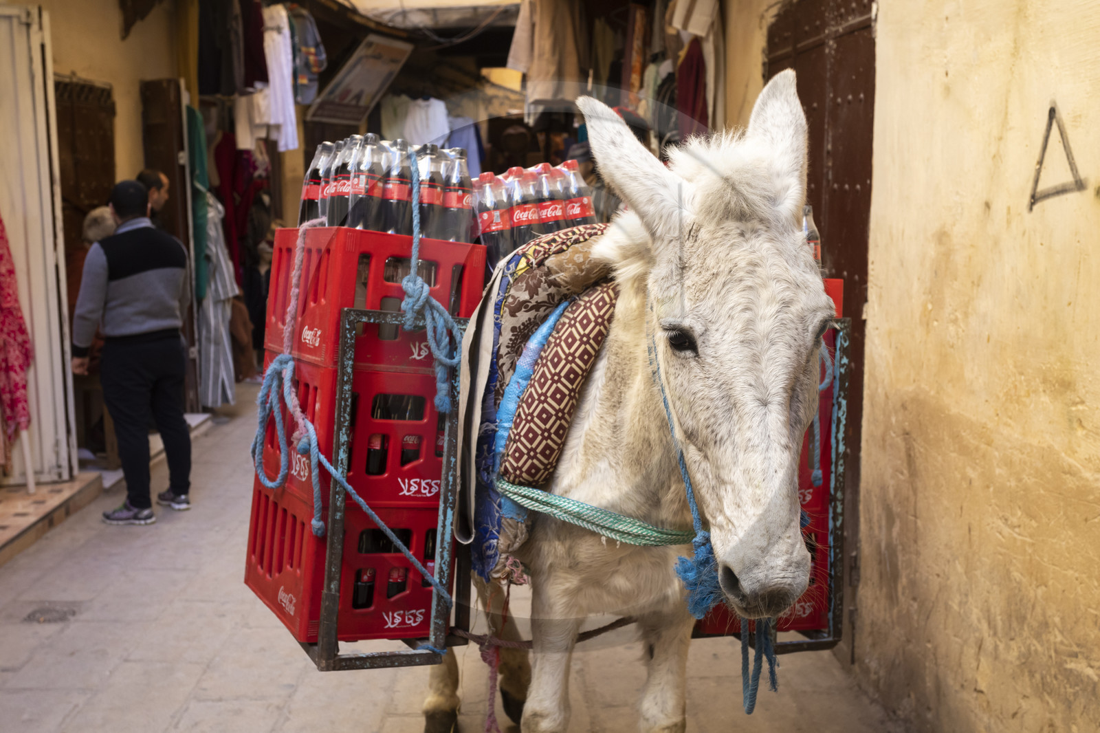 The Medina of Fez in Morocco