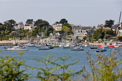 Le port de la Trinite sur mer