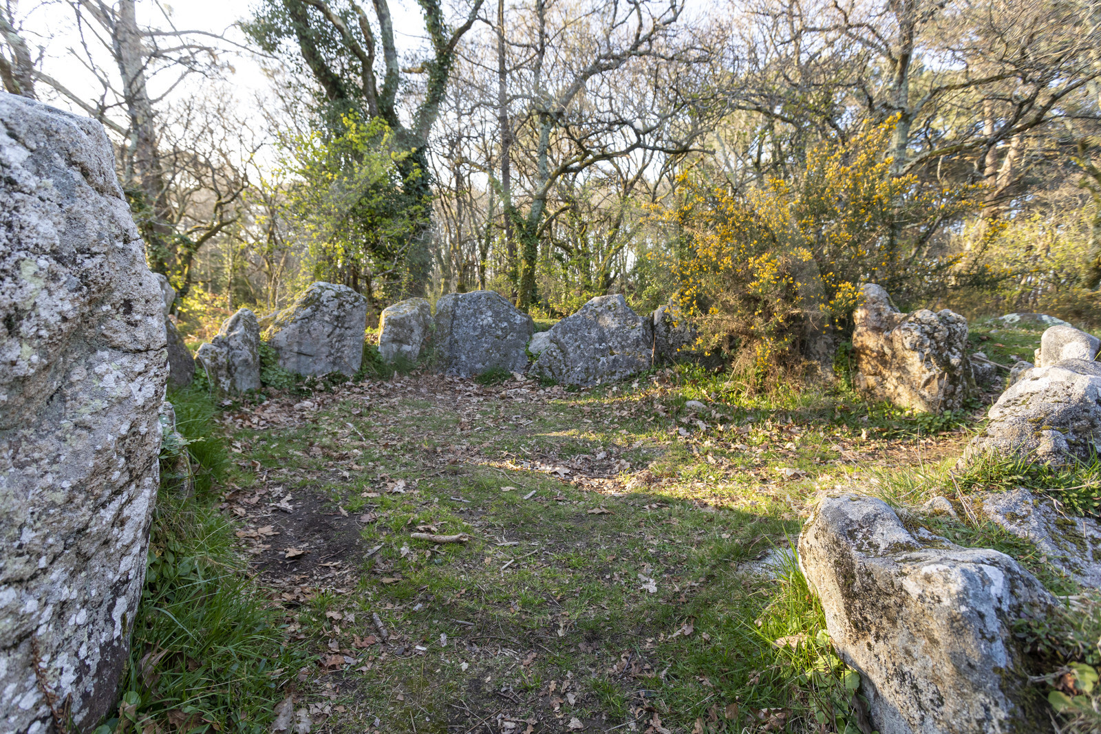 Le site mégalithiques de Mané Roulad à Ploemel