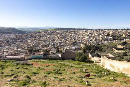 Vue sur la Médina de Fès au Maroc