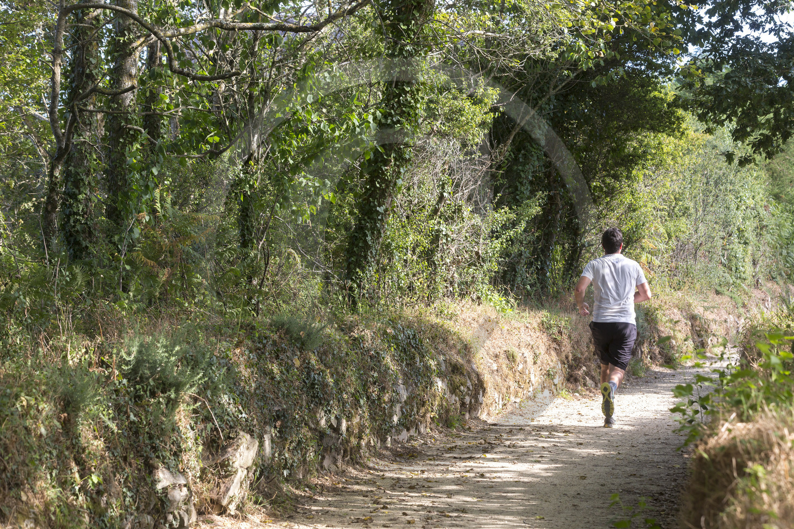 Jogger _Carnac