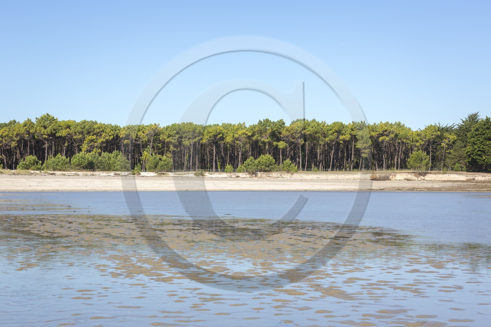 La plages des sables blancs à Plouharnel La plages des sables blancs à Plouharnel