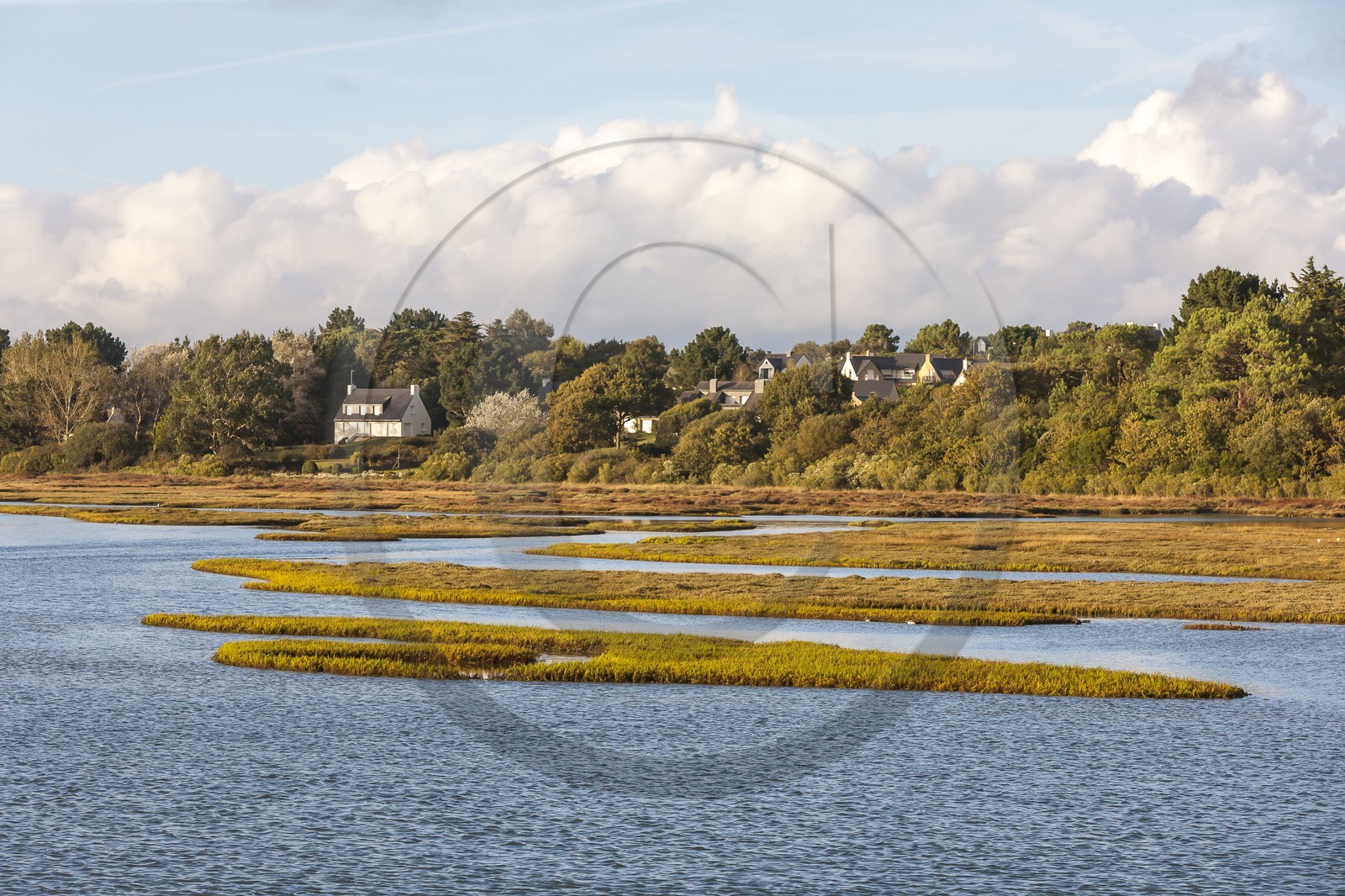 Anse de Kerdual _ La Trinite sur Mer