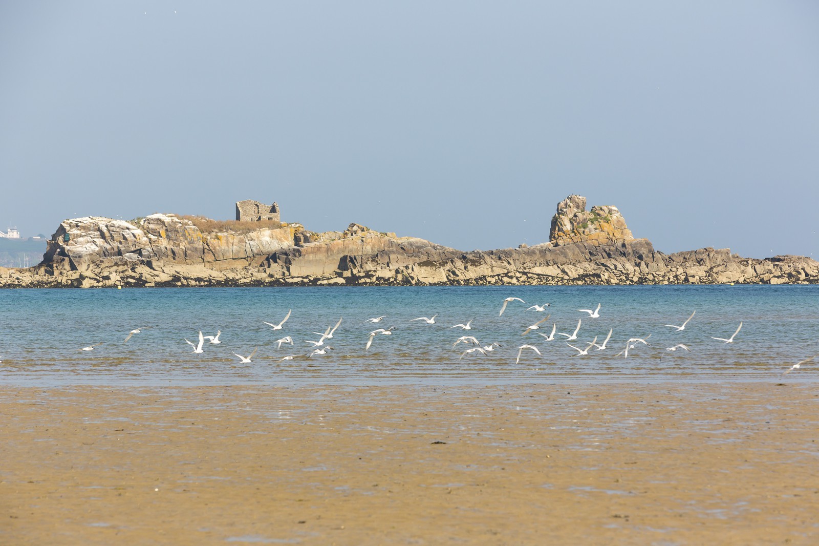 Archipel des Ebihens _ Saint-Jacut de la Mer