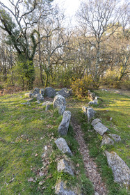 Le site mégalithiques de Mané Roulad à Ploemel