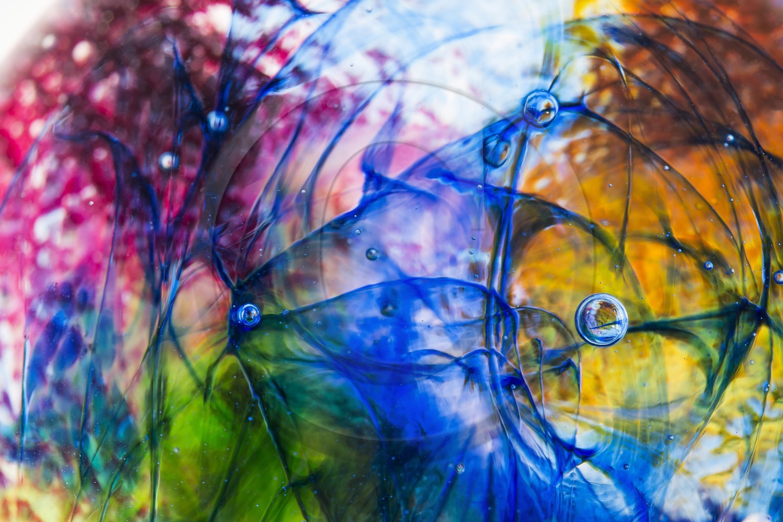 Le poisson bleu _ Inside Glass Le poisson bleu _ Inside Glass