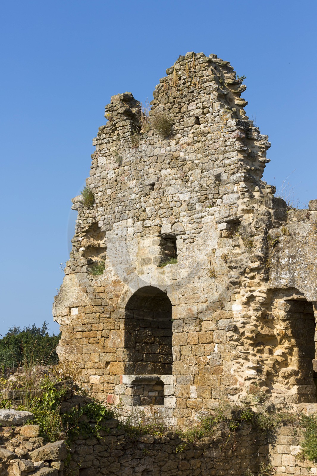 Le château du Guildo Le château du Guildo