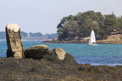 Er lannic in the Gulf of Morbihan in Arzon
