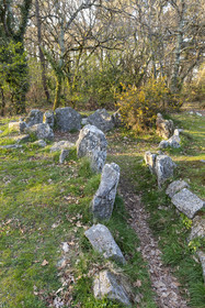 Le site mégalithiques de Mané Roulad à Ploemel