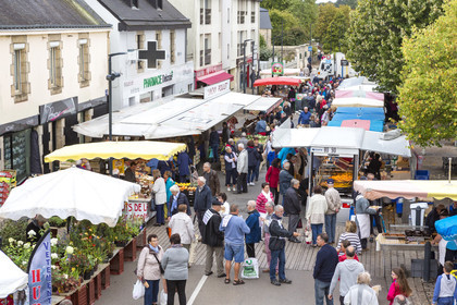 The market of Ploemeur