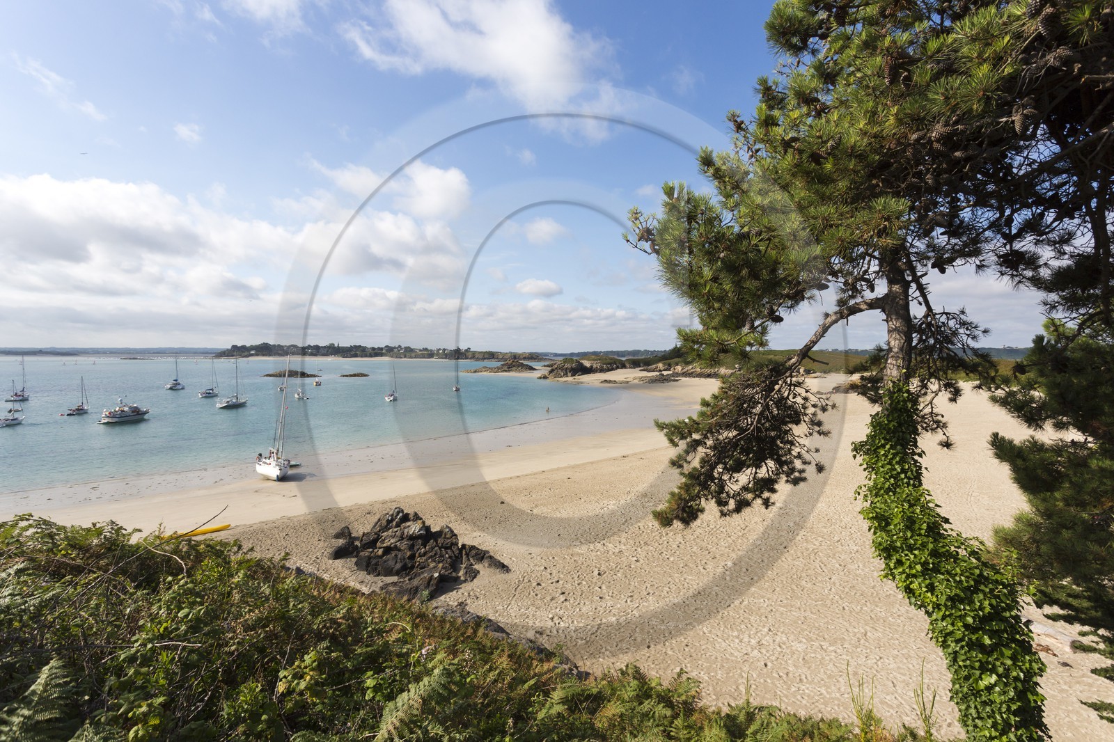 Ile des Ebihens _ Saint-Jacut de la mer