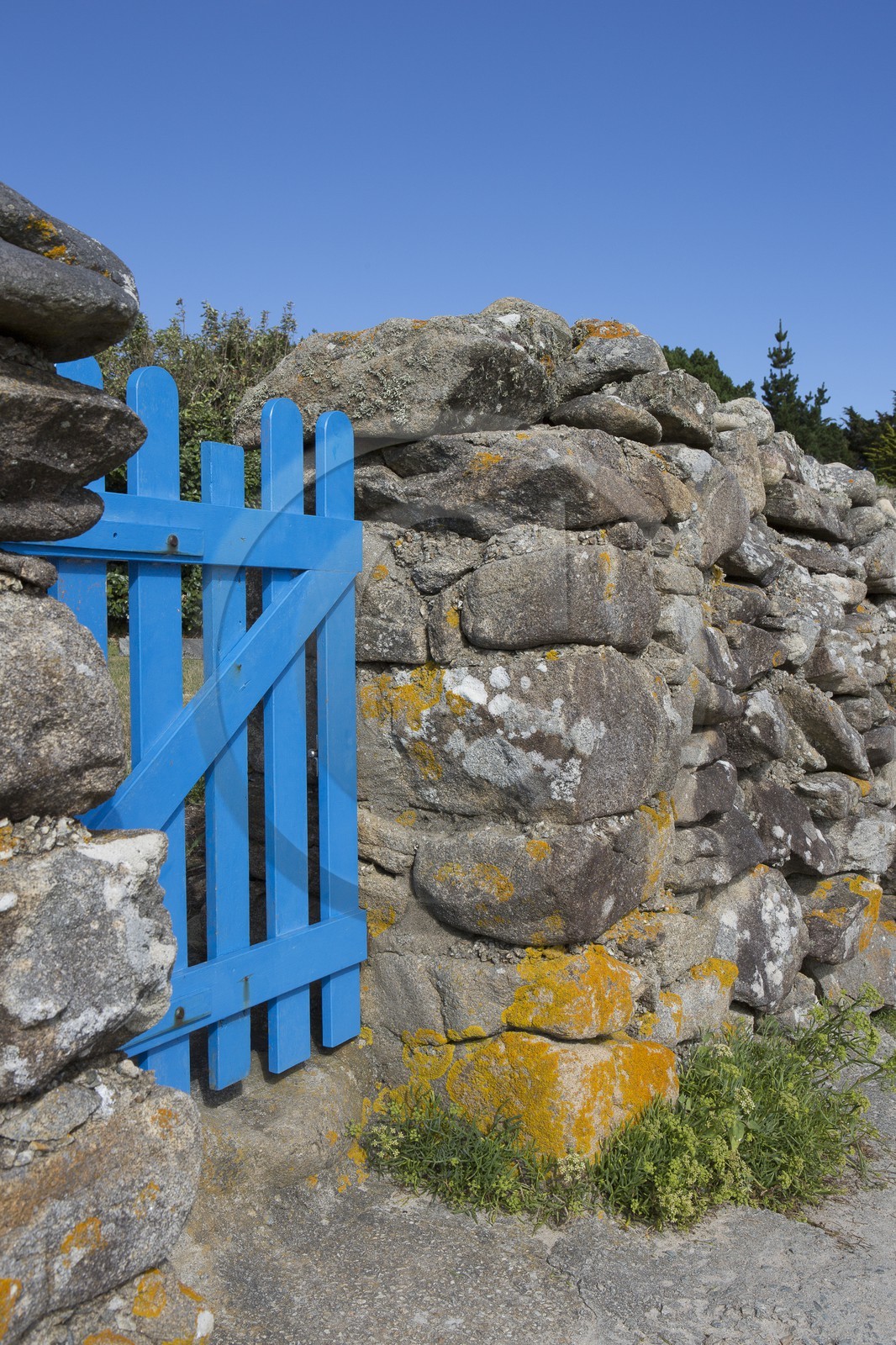 chemin des douaniers _ La Trinite sur Mer chemin des douaniers _ La Trinite sur Mer