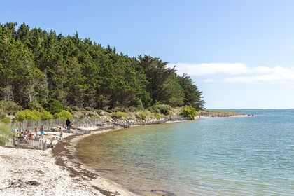 La plage du Poulbert  _ La Trinite sur mer