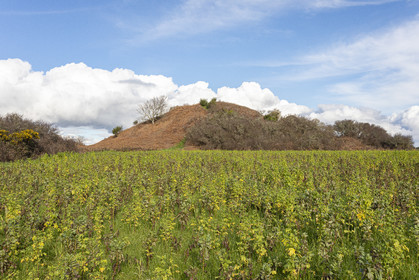 Tumulus of Tumiac in Arzon