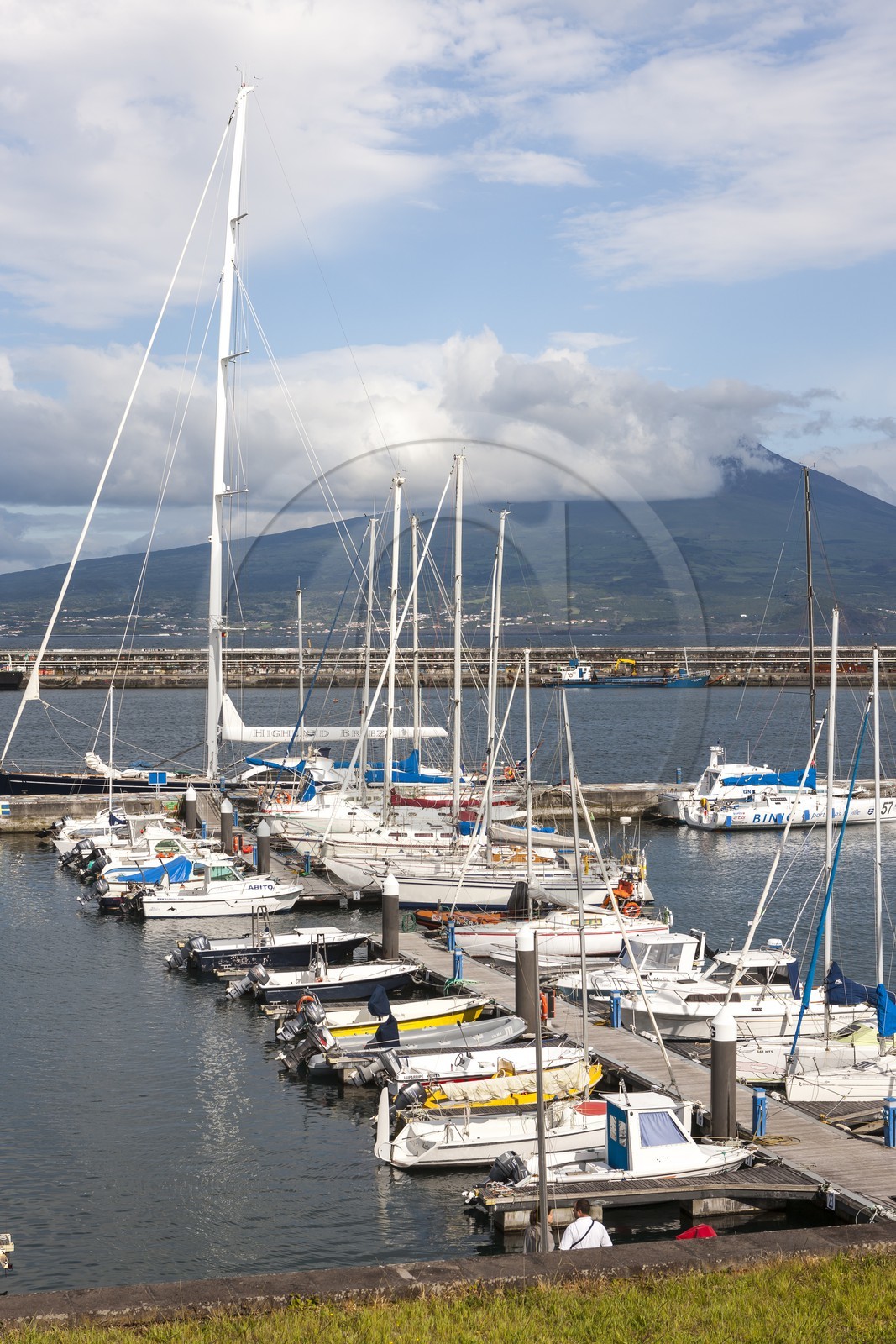 Le port d' Horta_Faial_Archipel des Açores Le port d' Horta_Faial_Archipel des Açores