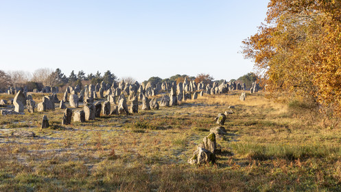 Alignement de Kermario_Carnac