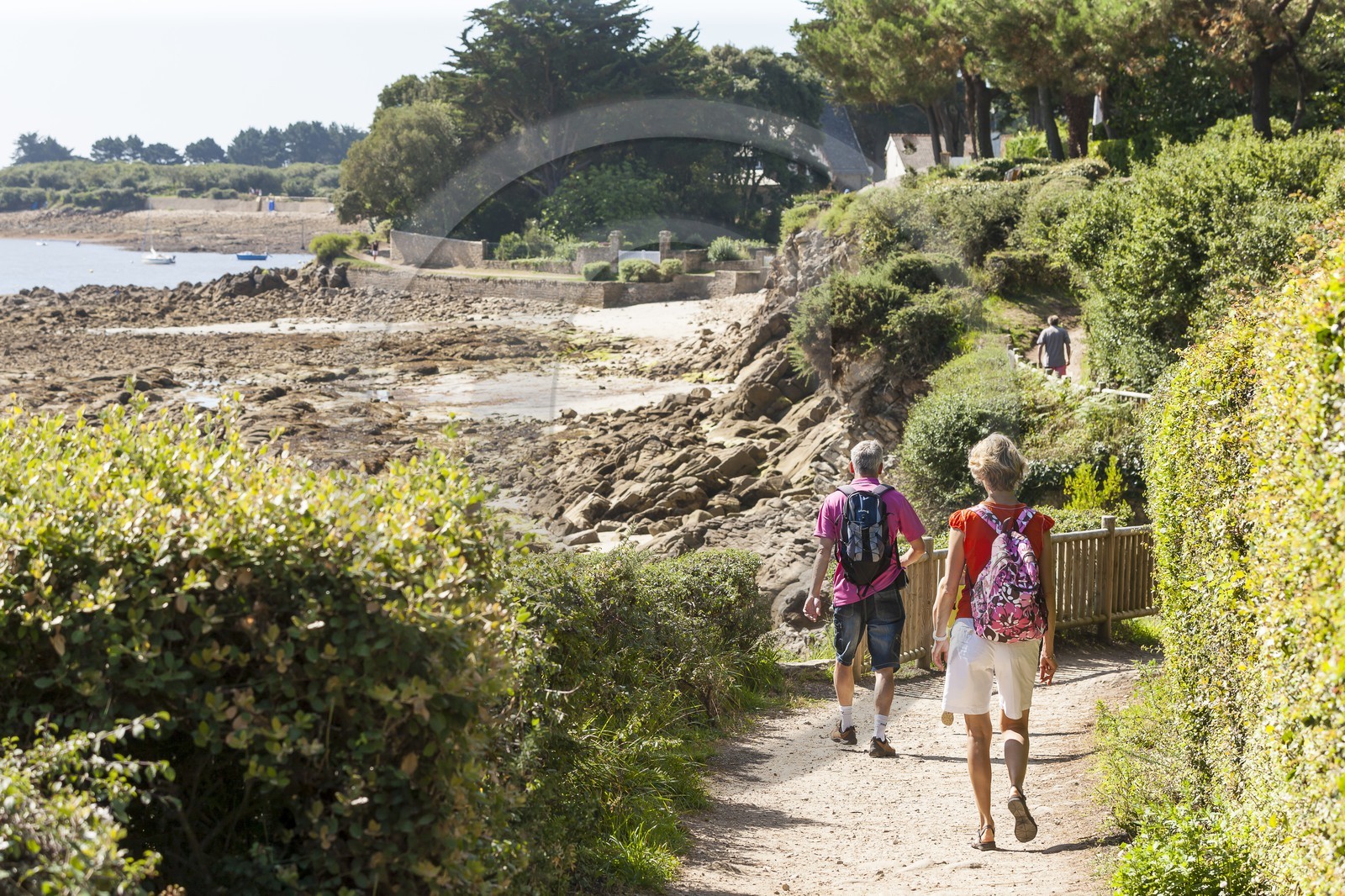 Sentiers des douaniers _ La Trinite sur Mer Sentiers des douaniers _ La Trinite sur Mer