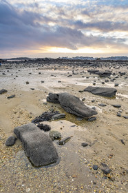 Alignments Kerdual in La Trinité sur Mer
