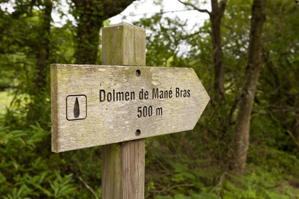 Le dolmen de Mane Braz _ la Trinite sur mer.