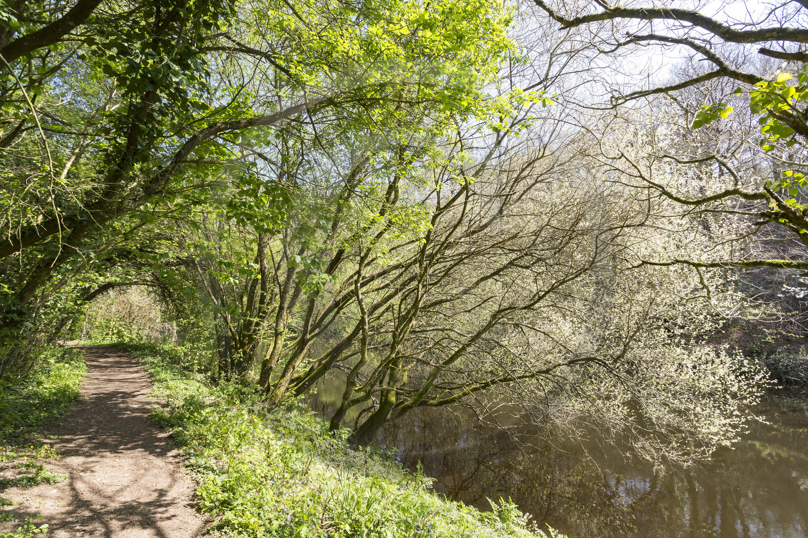 Landscape along the Scorff. Pont-Scorff