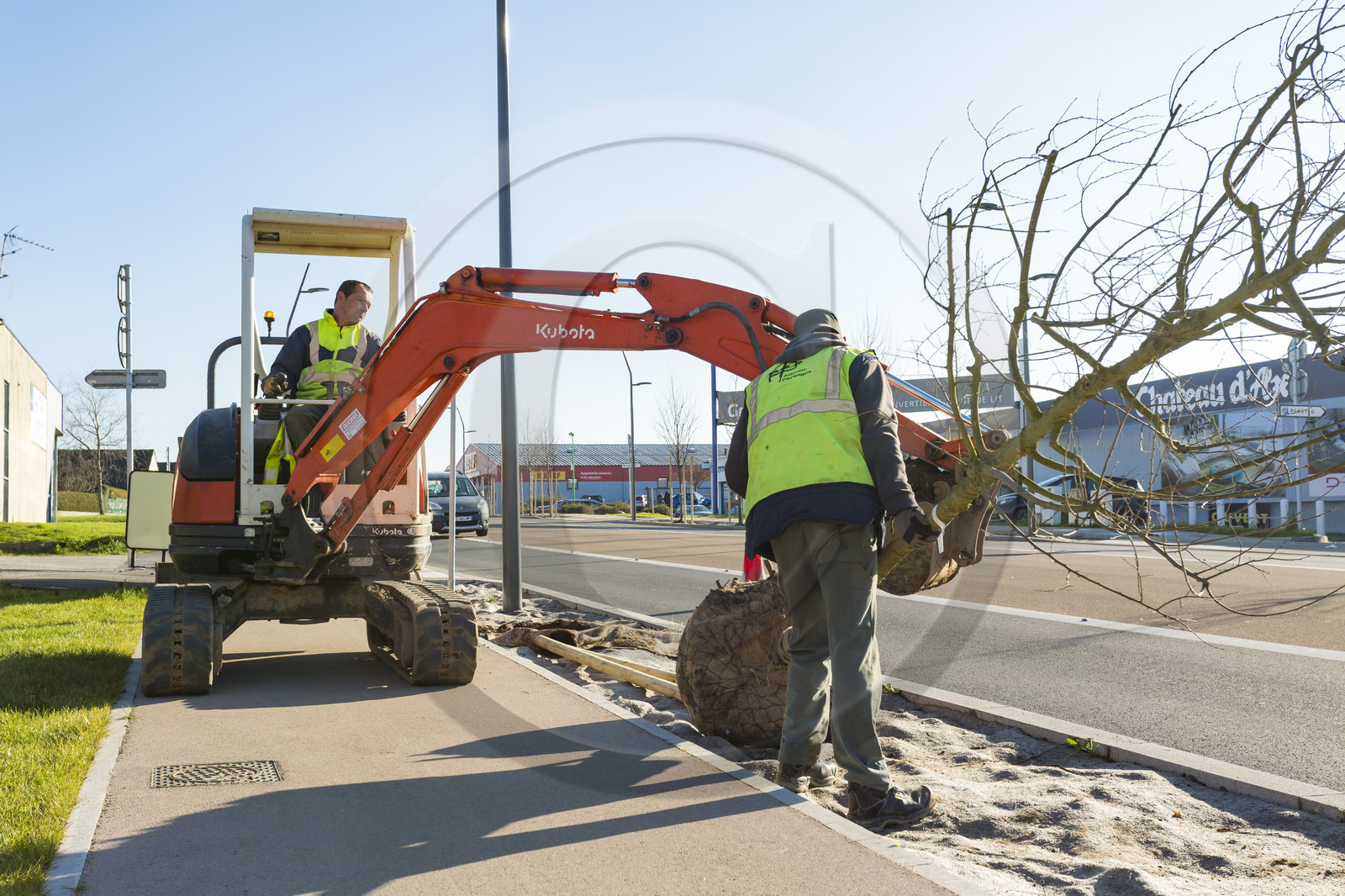 Triskell_Arbres_Queudet Triskell_Arbres_Queudet
