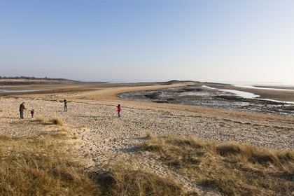 La plage du Men-Du_ La Trinite sur mer