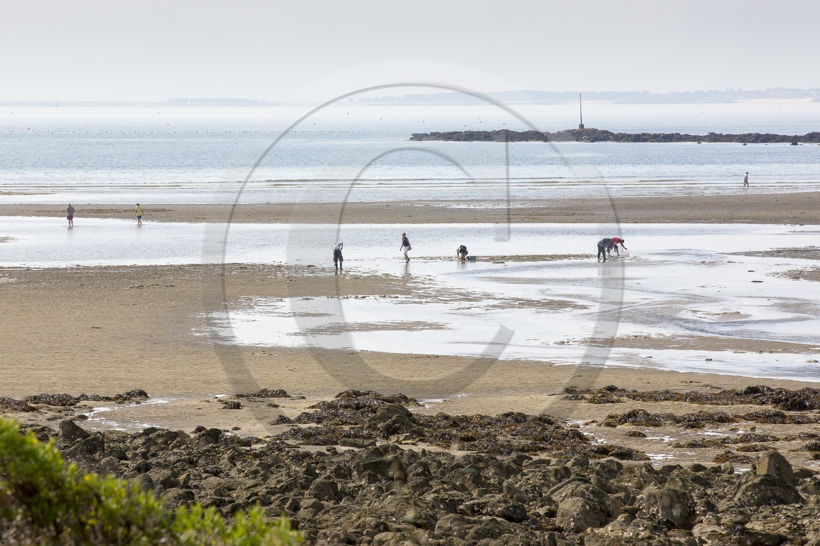 Peche a pied _ plage du men du Peche a pied _ plage du men du