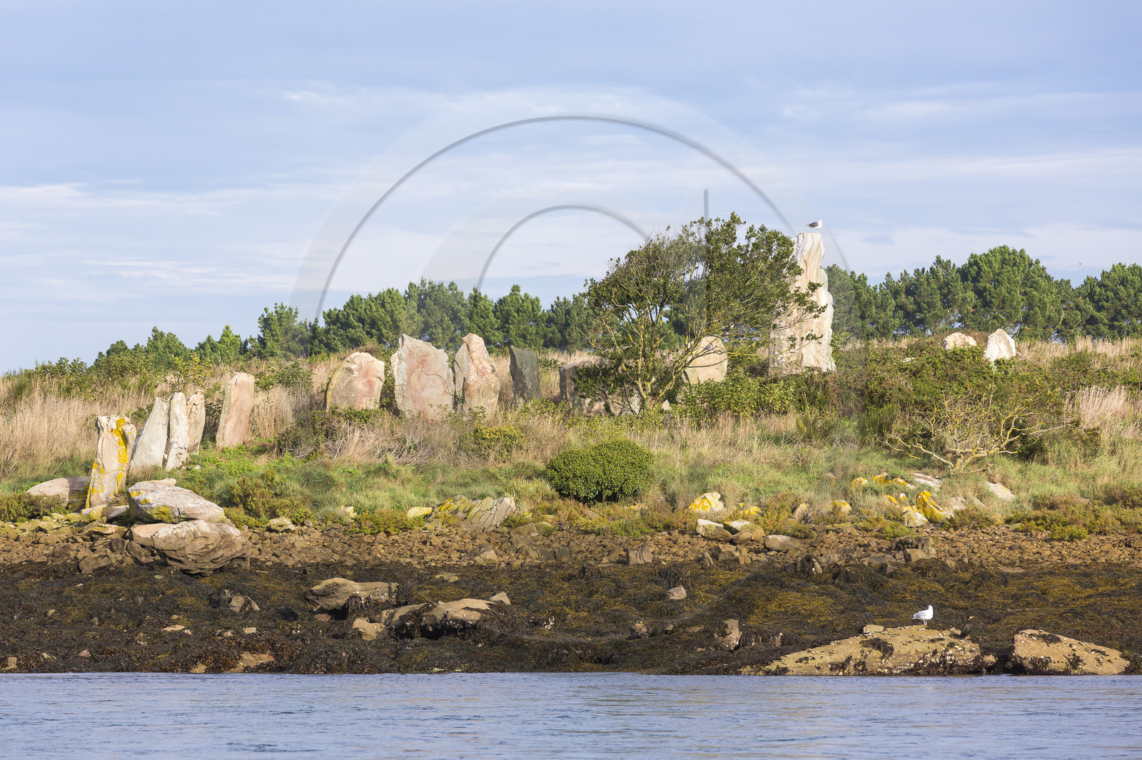 Er Lannic dans le golfe du Morbihan à Arzon Er Lannic dans le golfe du Morbihan à Arzon