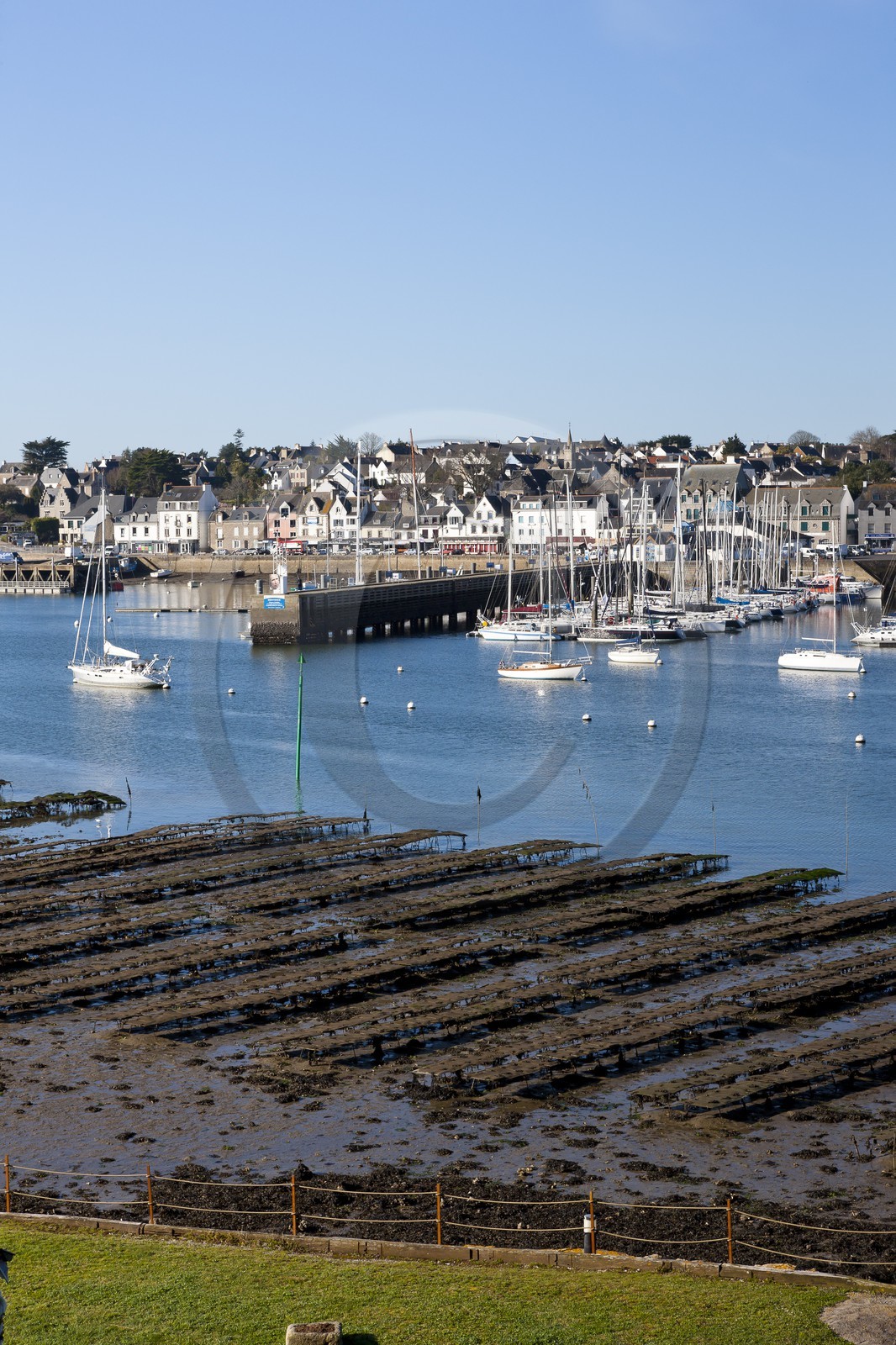 Le port de la Trinite sur Mer Le port de la Trinite sur Mer