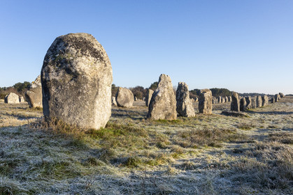 The Ménec alignments in Carnac