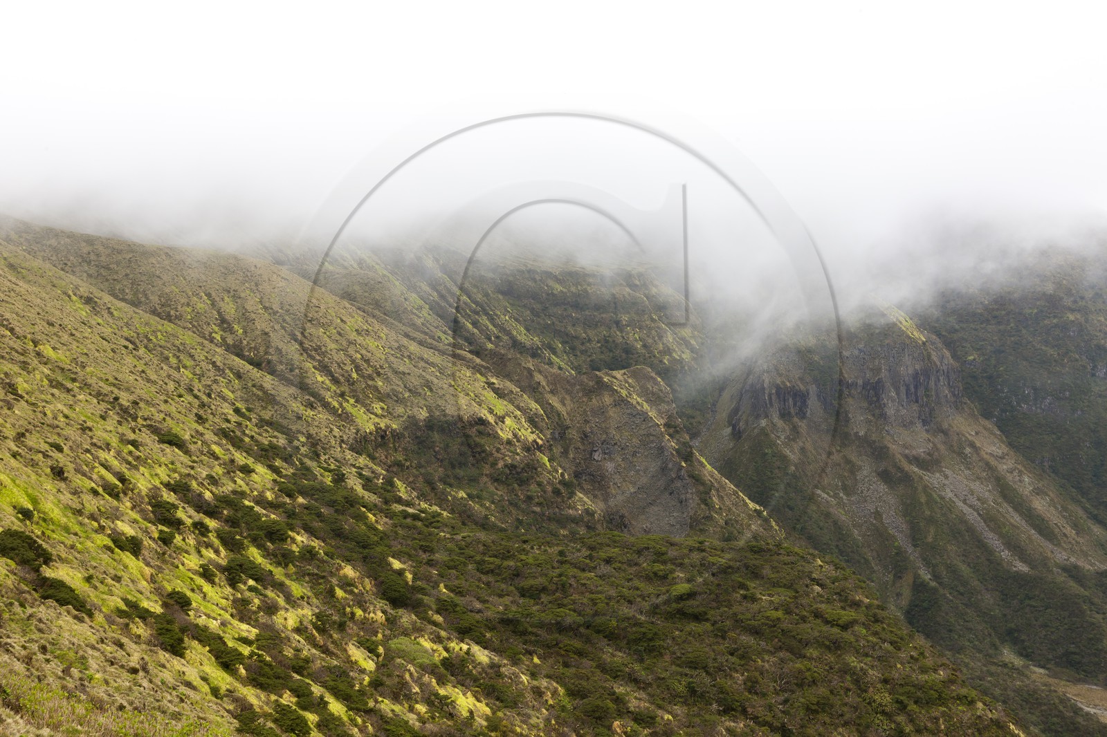 Caldeira de Faial _ les Açores Caldeira de Faial _ les Açores