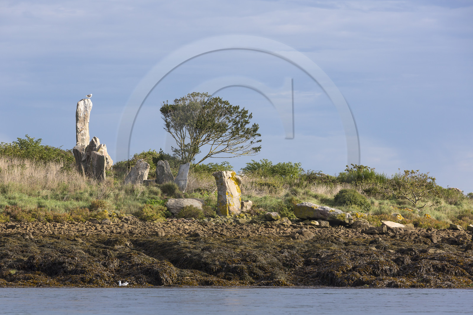 Er Lannic dans le golfe du Morbihan à Arzon Er Lannic dans le golfe du Morbihan à Arzon