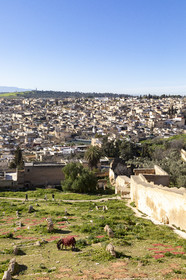 View of the Medina of Fez in Marocco