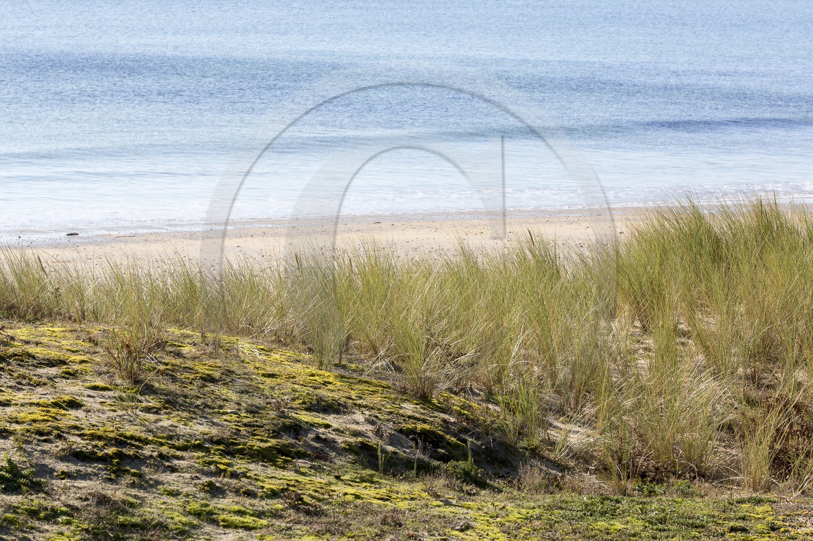 La plage de Kervillen_ La Trinite sur mer