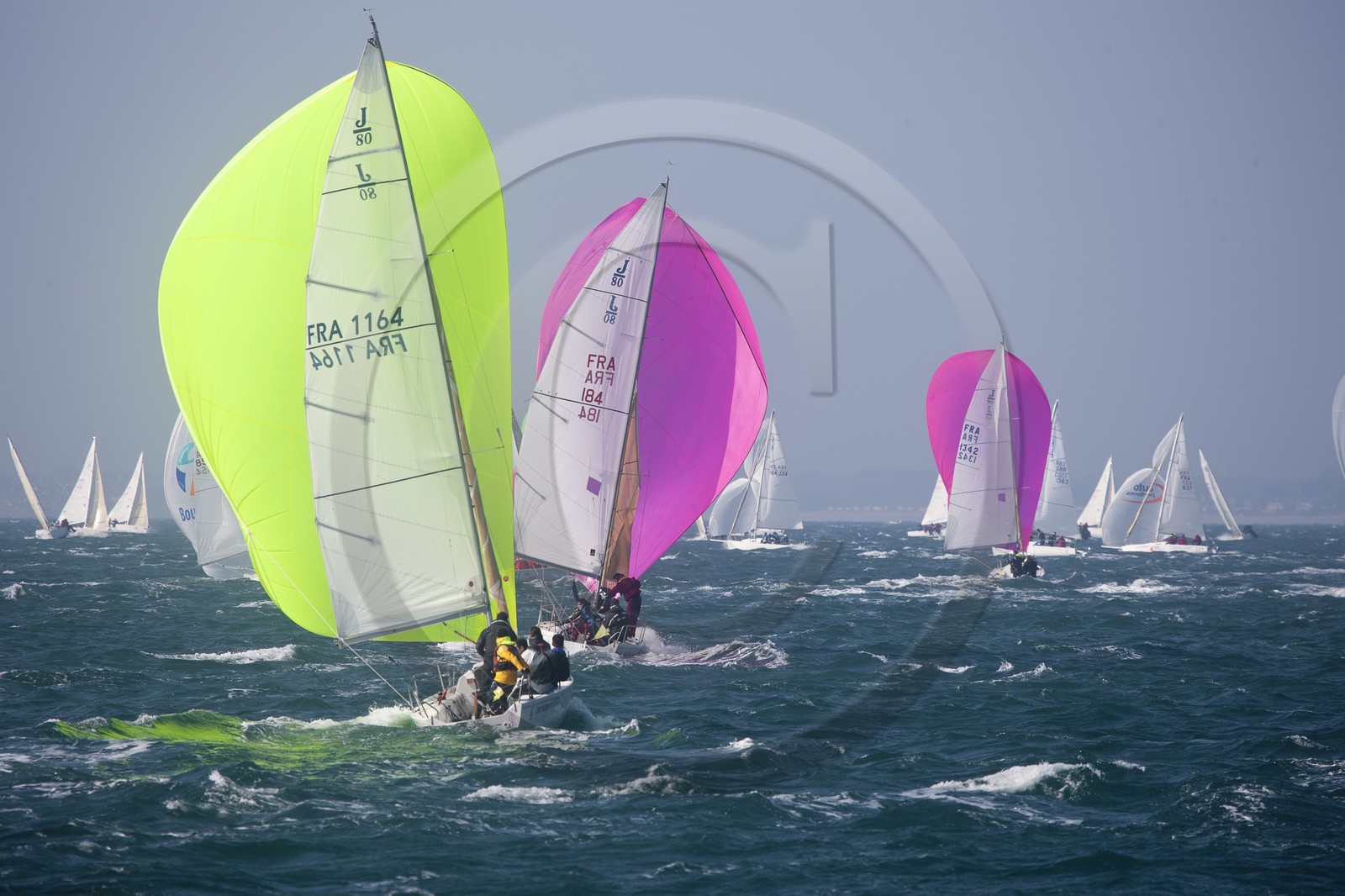 Spi Ouest-France _ La Trinite-sur-Mer Spi Ouest-France _ La Trinite-sur-Mer