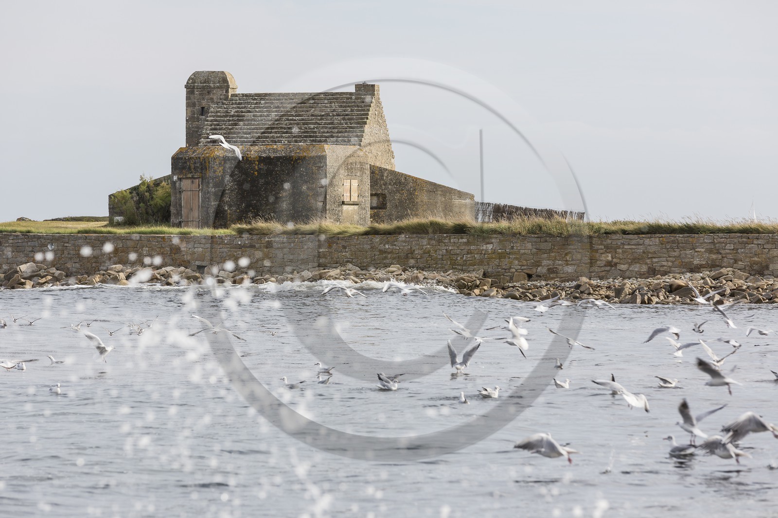La pointe de Kerbihan _ La Trinité sur Mer La pointe de Kerbihan _ La Trinité sur Mer