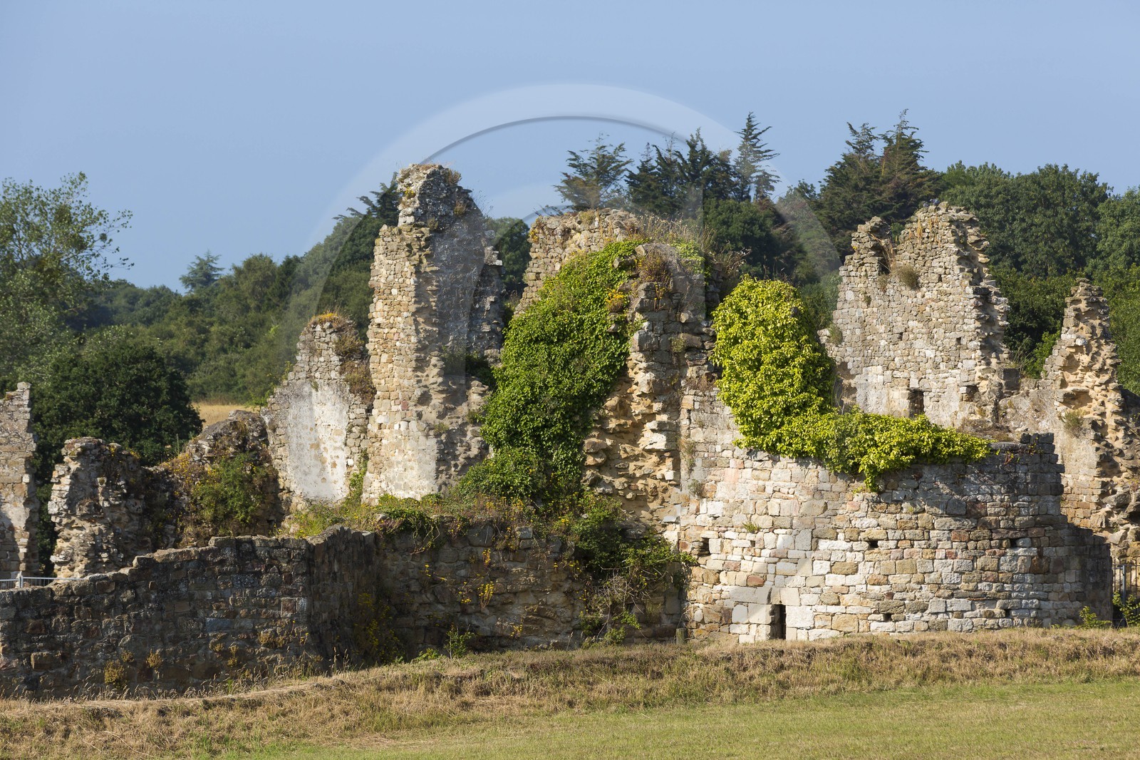 Le château du Guildo Le château du Guildo