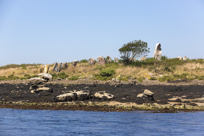 Er lannic in the Gulf of Morbihan in Arzon