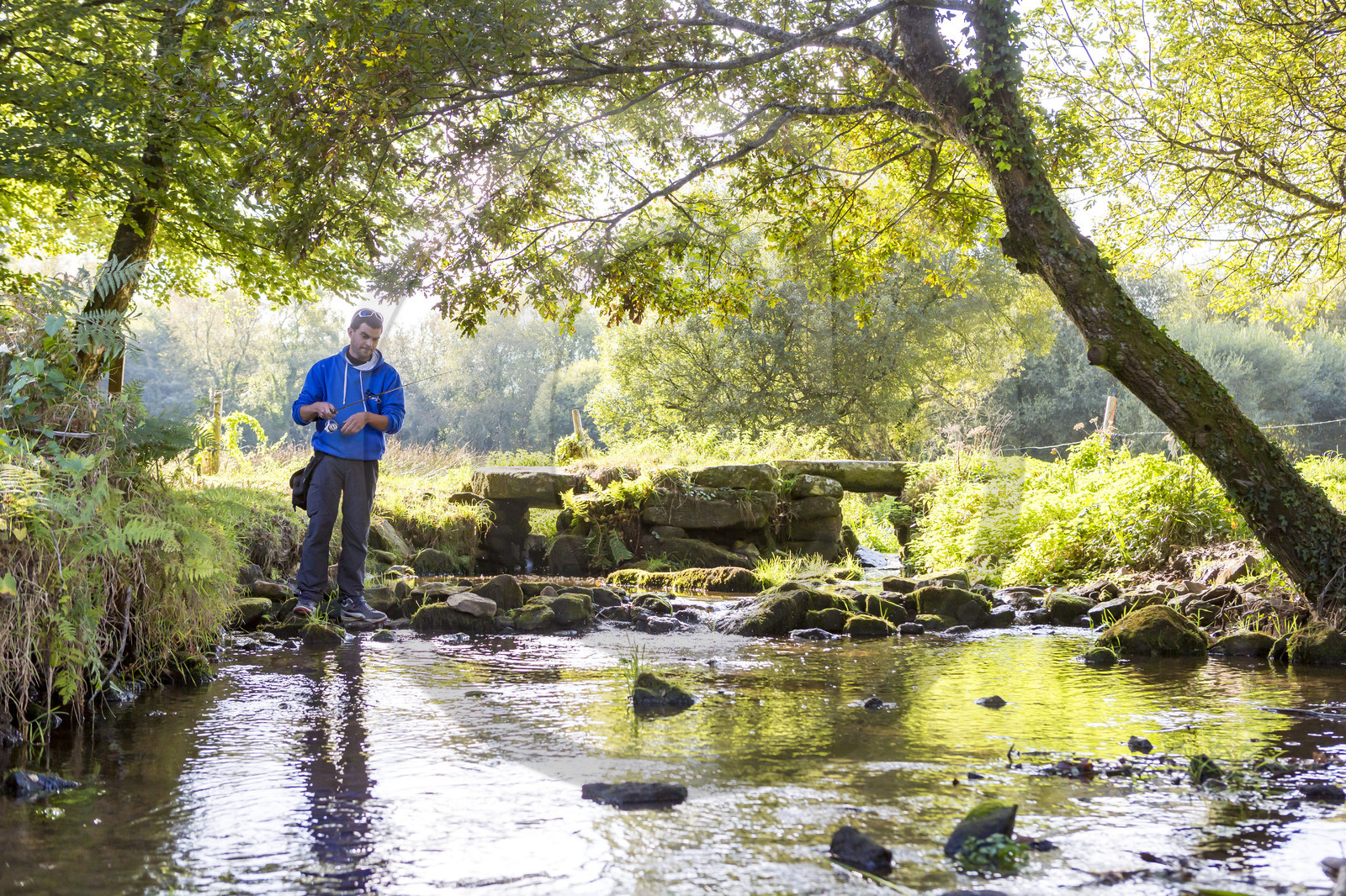 Ruisseau du Brandifout_Bubry Ruisseau du Brandifout_Bubry