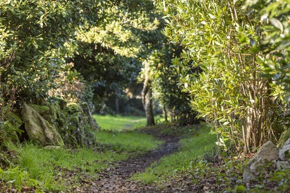 Sentier de la Vigie _ La Trinite sur Mer.