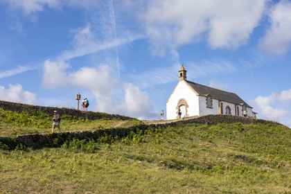 Le Tumulus Saint-Michel à Caranac