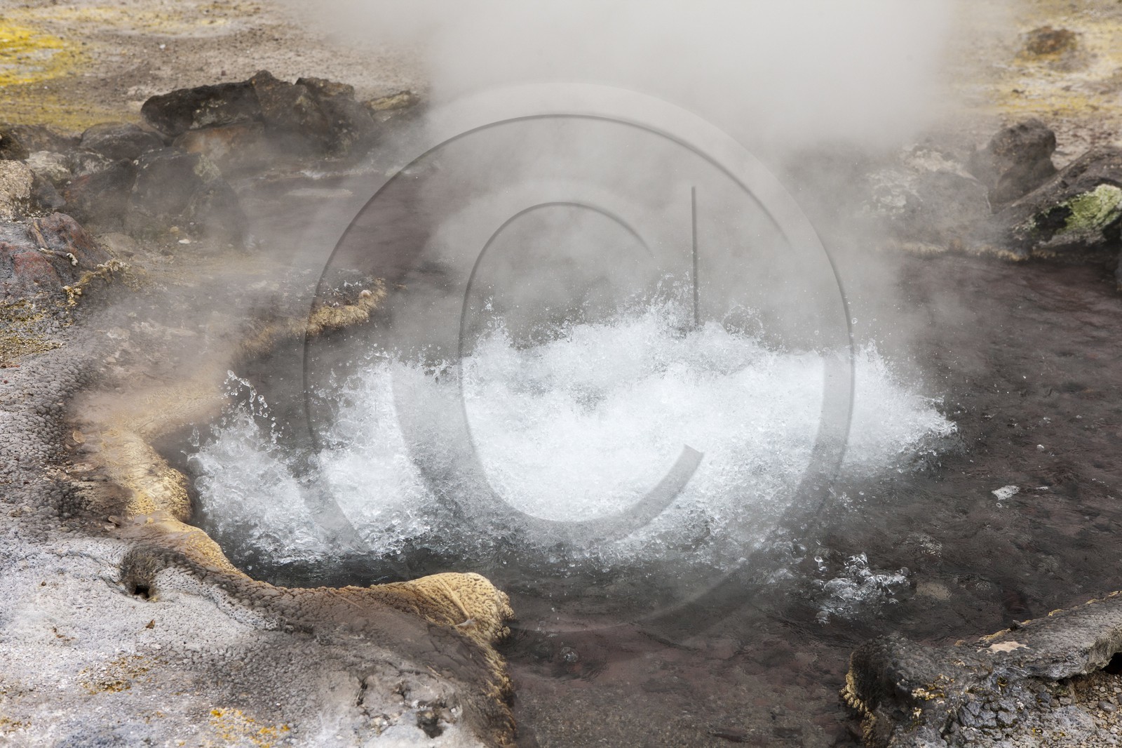 Furnas_source d'eau chaude Furnas_source d'eau chaude