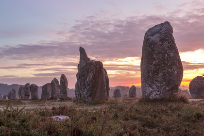 Alignements de Kerlescan à Carnac