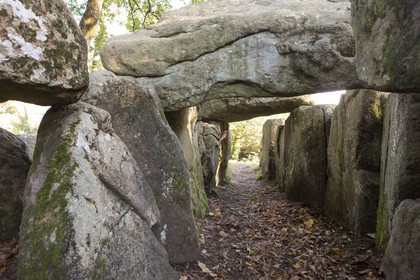 Le dolmen de Mané Groh _ Erdeven