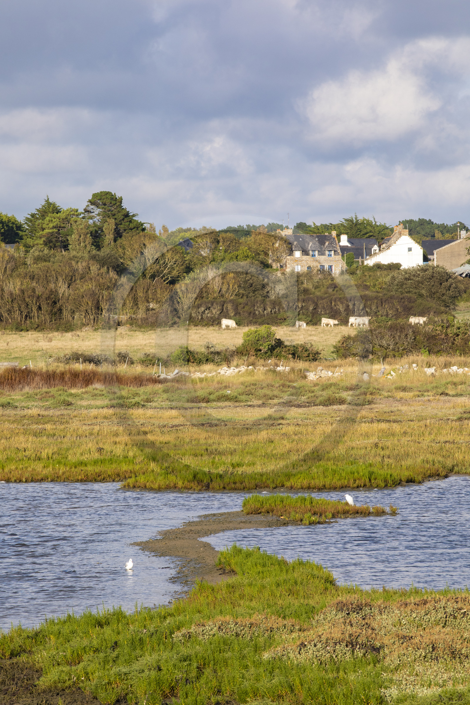 Etang du Moulin du Lac à Carnac Etang du Moulin du Lac à Carnac