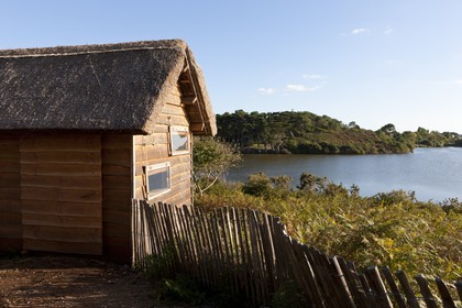 Pond of Lannecnec _ Guidel